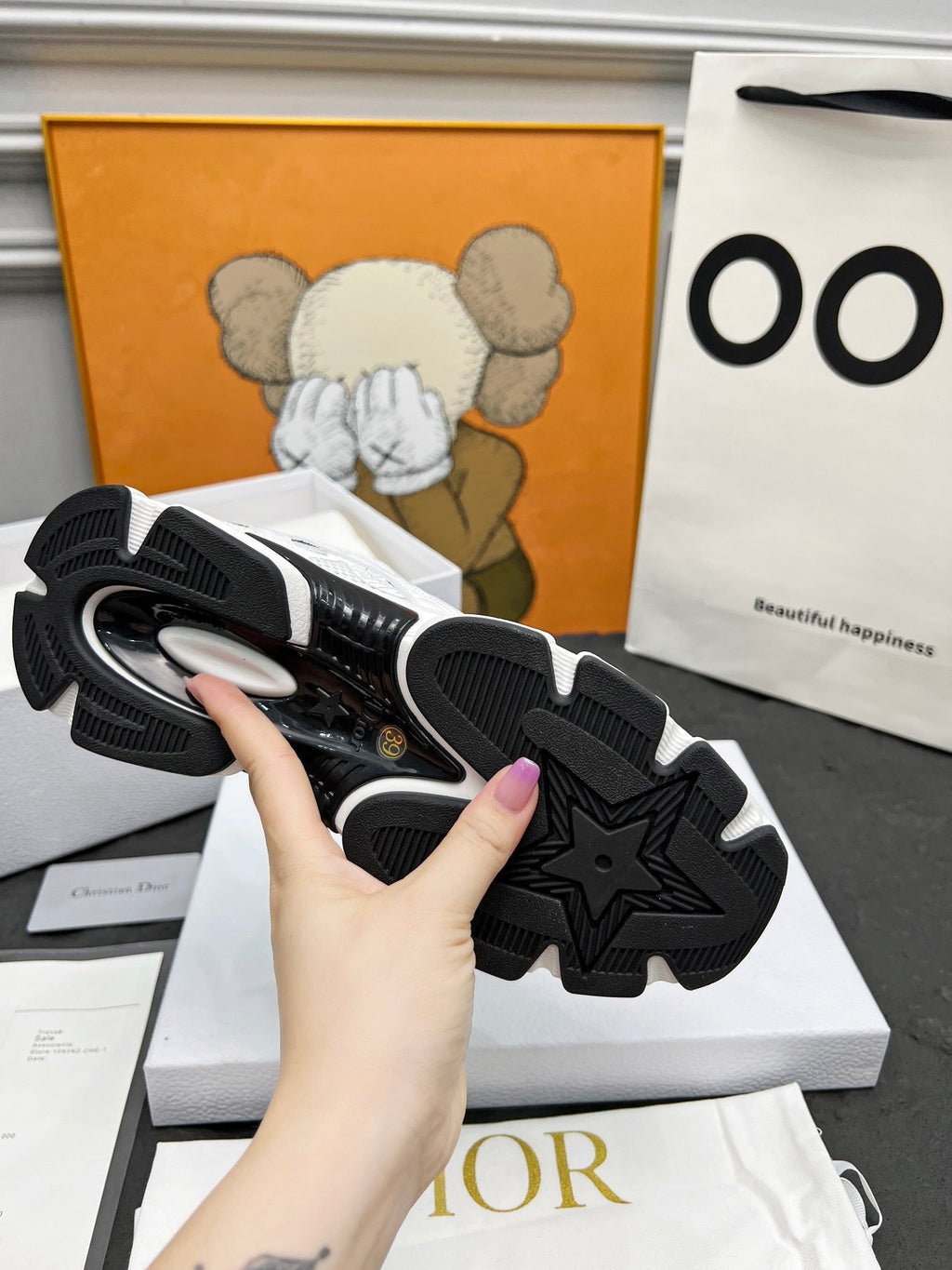 DIOR CD CHRONO SNEAKERS IN WHITE AND BLACK MESH