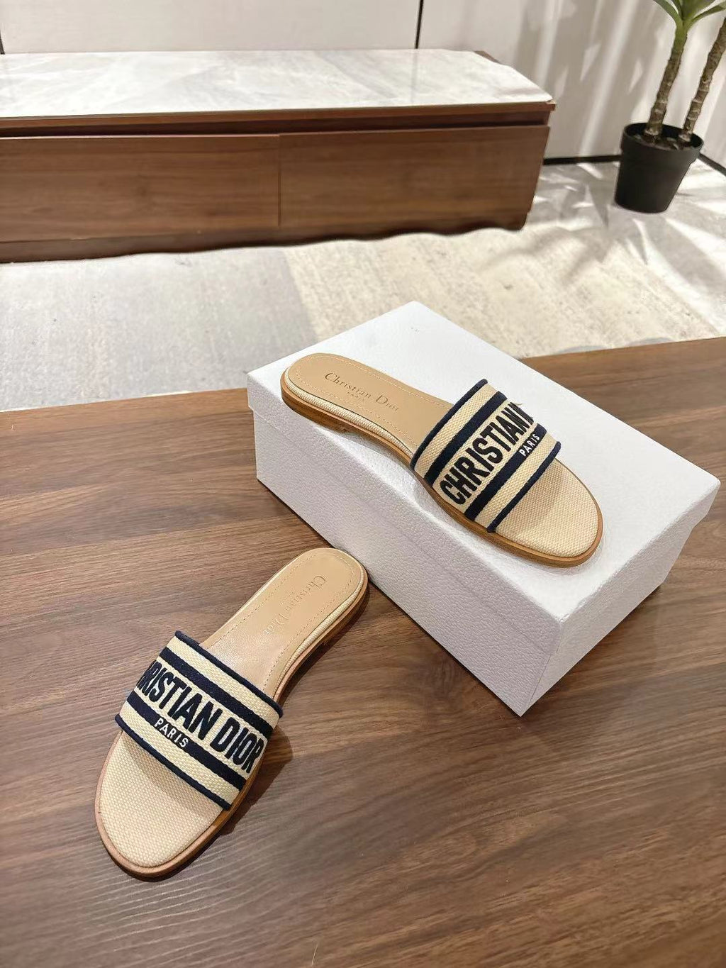 DIOR DWAY SLIDES IN BEIGE AND NAVY BLUE TECHNICAL FABRIC
