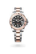 Rolex Yacht Watch - Master 126655 Rose Gold